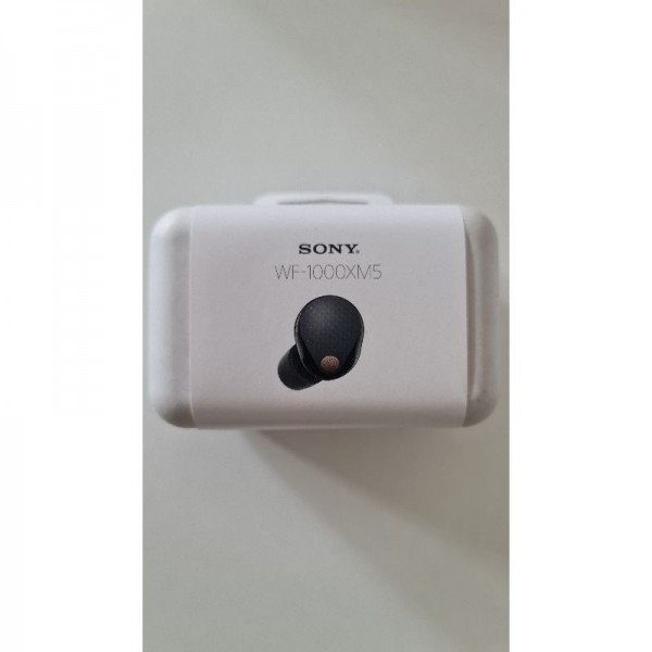 Sony WF-1000XM5 Kabellose Noise Cancelling Kopfhörer, Bluetooth, Schwarz
